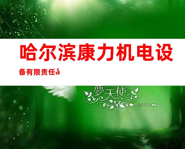 哈尔滨康力机电设备有限责任公司