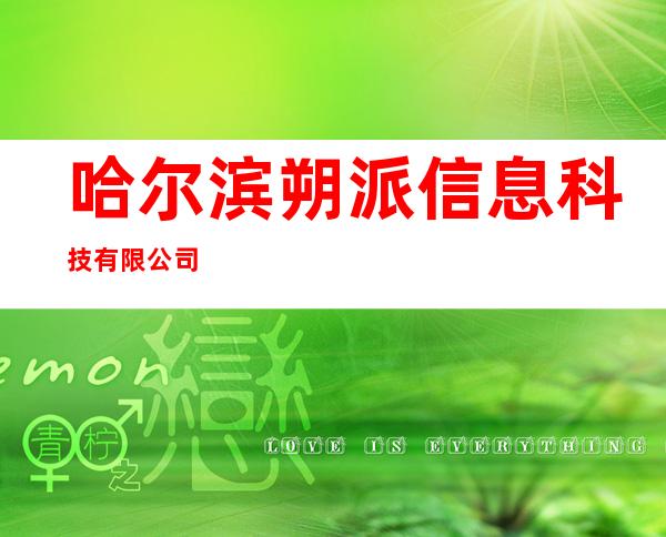 哈尔滨朔派信息科技有限公司