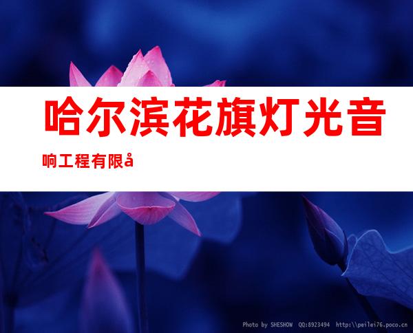 哈尔滨花旗灯光音响工程有限公司