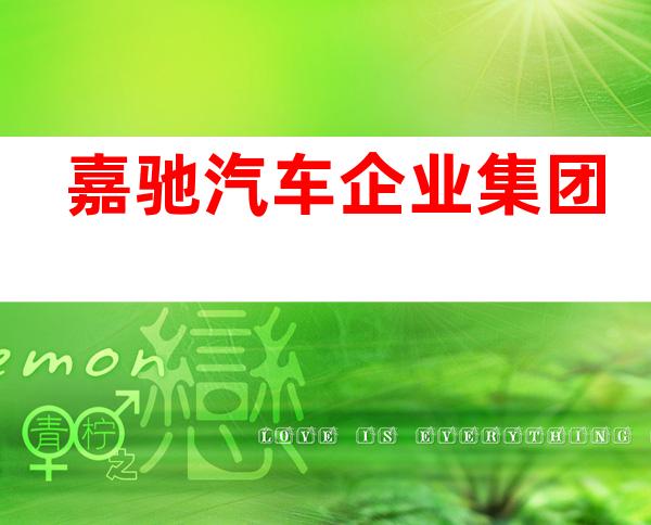 嘉驰汽车企业集团