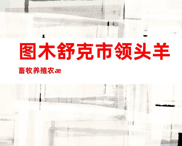 图木舒克市领头羊畜牧养殖农民专业合作社