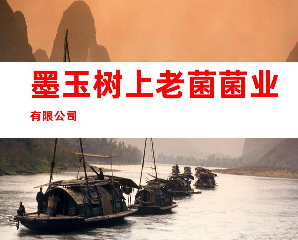 墨玉树上老菌菌业有限公司