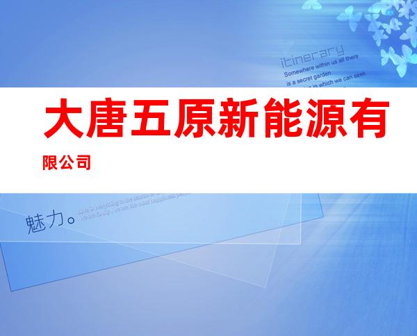 大唐五原新能源有限公司