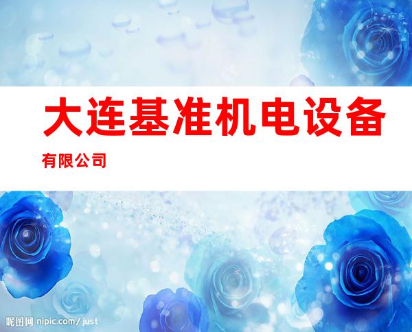 大连基准机电设备有限公司