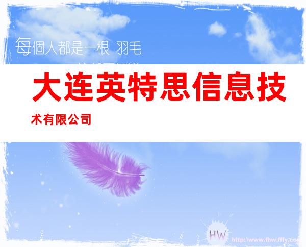 大连英特思信息技术有限公司