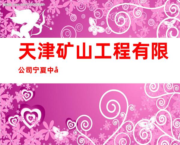 天津矿山工程有限公司宁夏中宁分公司