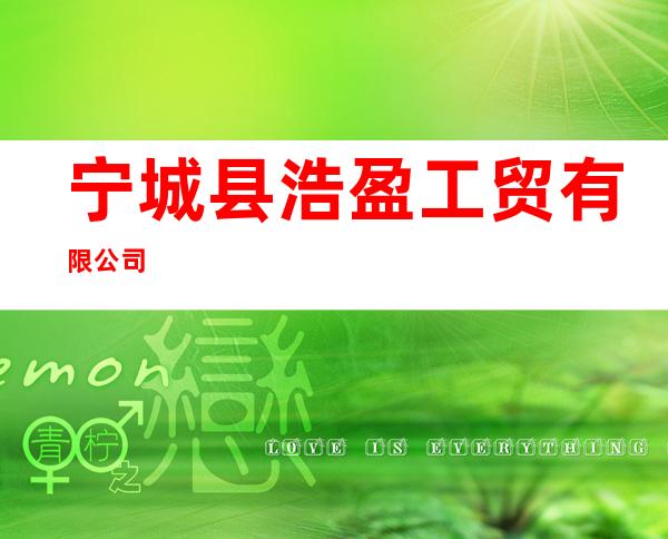 宁城县浩盈工贸有限公司