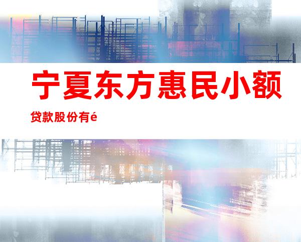 宁夏东方惠民小额贷款股份有限公司红寺堡分公司