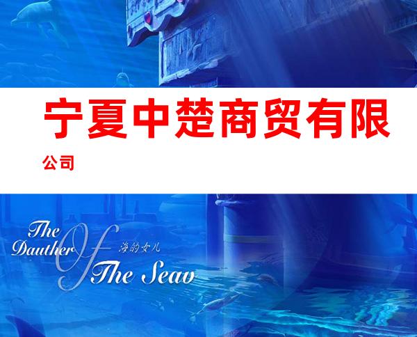 宁夏中楚商贸有限公司