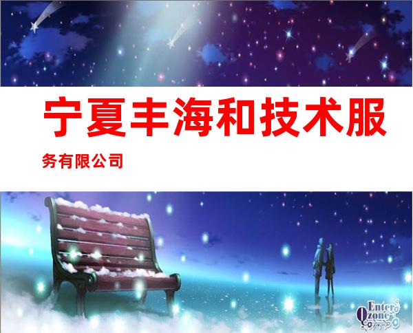 宁夏丰海和技术服务有限公司