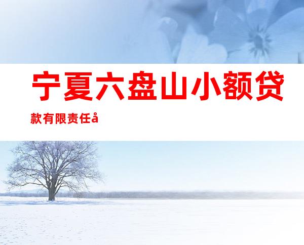 宁夏六盘山小额贷款有限责任公司