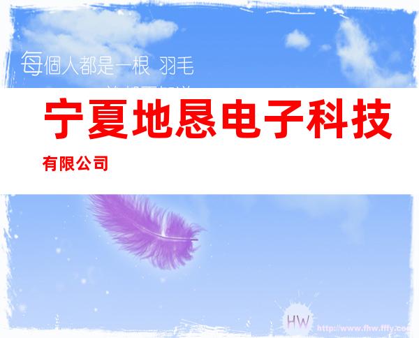 宁夏地恳电子科技有限公司