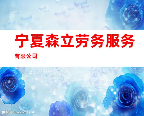 宁夏森立劳务服务有限公司