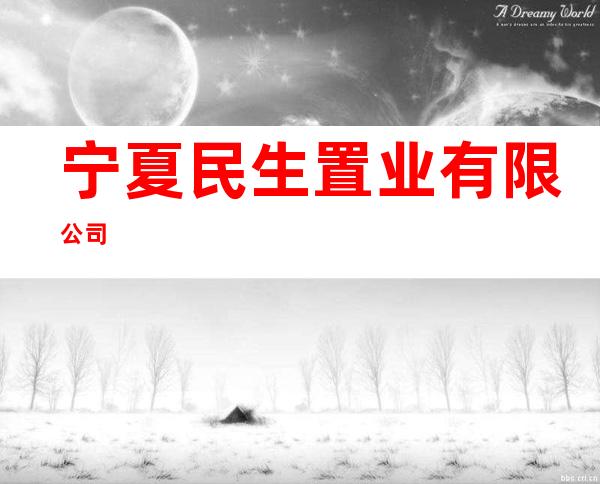 宁夏民生置业有限公司