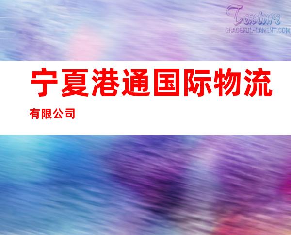 宁夏港通国际物流有限公司