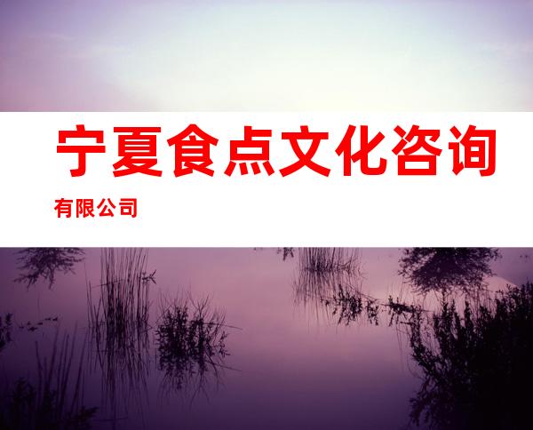 宁夏食点文化咨询有限公司