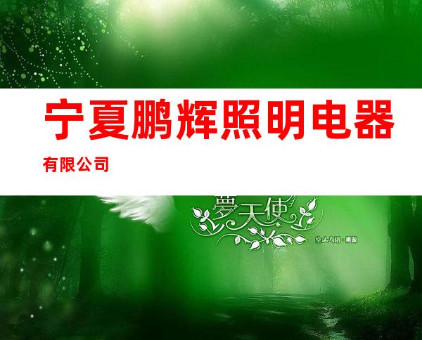 宁夏鹏辉照明电器有限公司