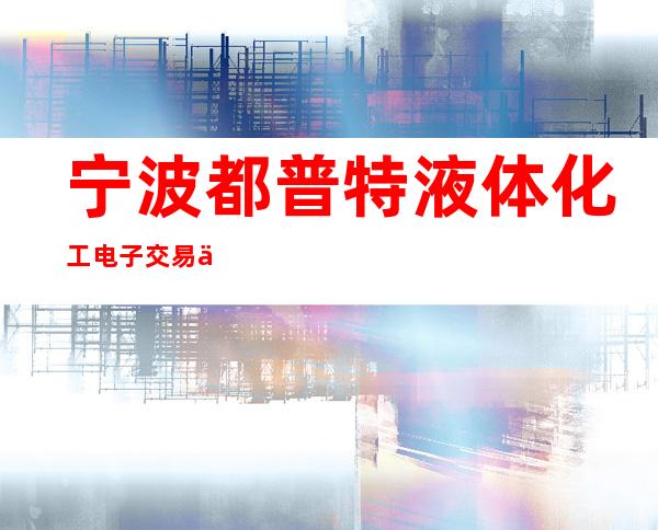 宁波都普特液体化工电子交易中心有限公司