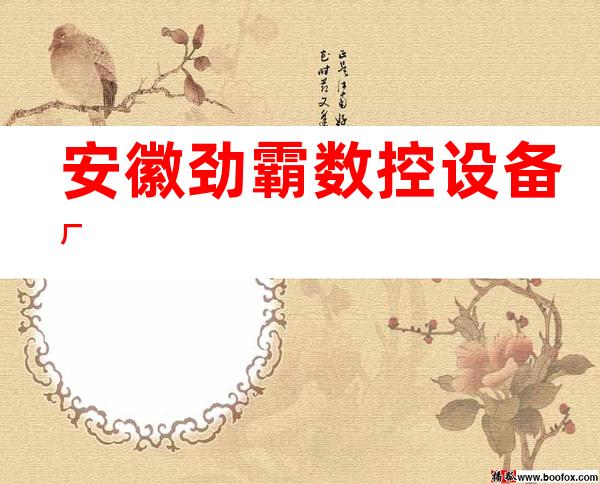 安徽劲霸数控设备厂
