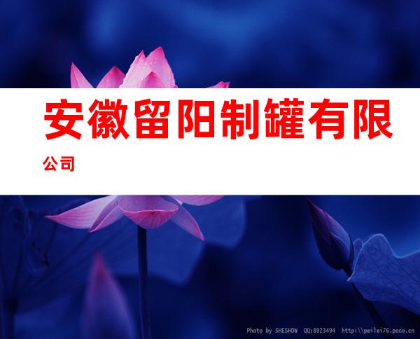安徽留阳制罐有限公司