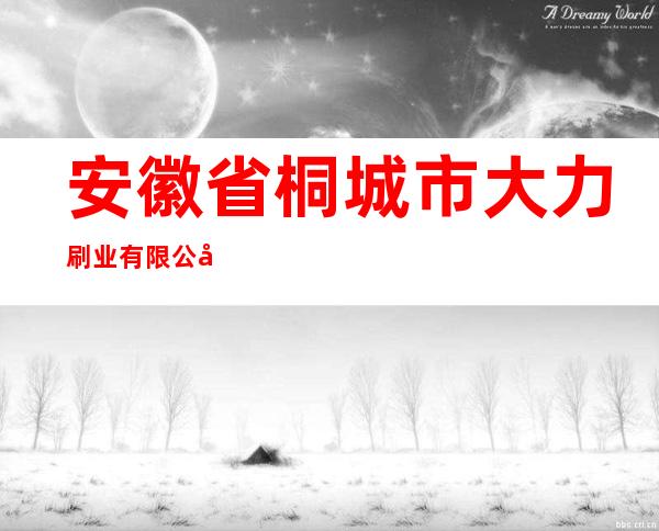 安徽省桐城市大力刷业有限公司