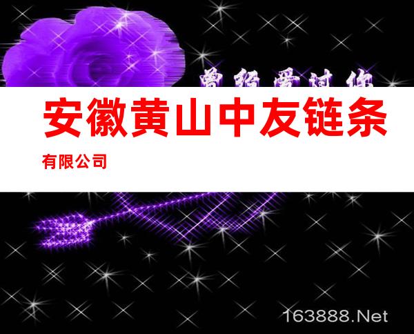 安徽黄山中友链条有限公司