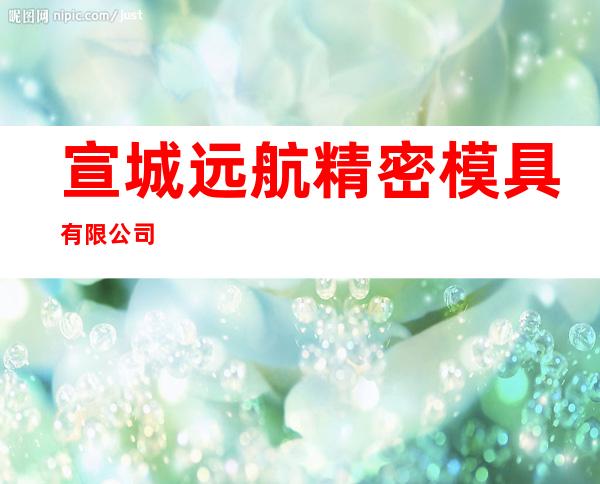 宣城远航精密模具有限公司