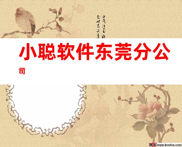 小聪软件东莞分公司