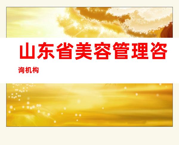 山东省美容管理咨询机构