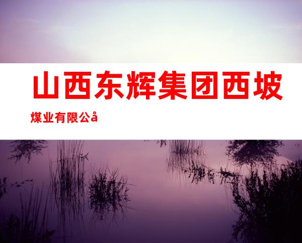 山西东辉集团西坡煤业有限公司