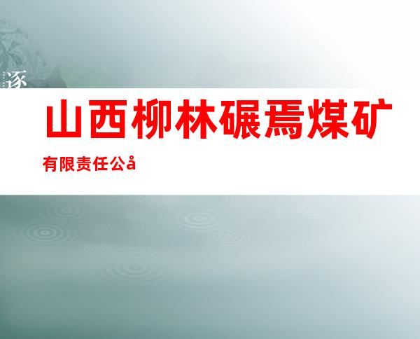 山西柳林碾焉煤矿有限责任公司