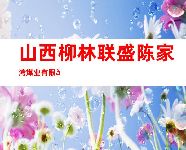 山西柳林联盛陈家湾煤业有限公司
