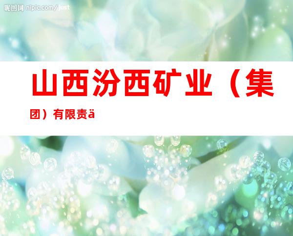 山西汾西矿业（集团）有限责任公司曙光煤矿