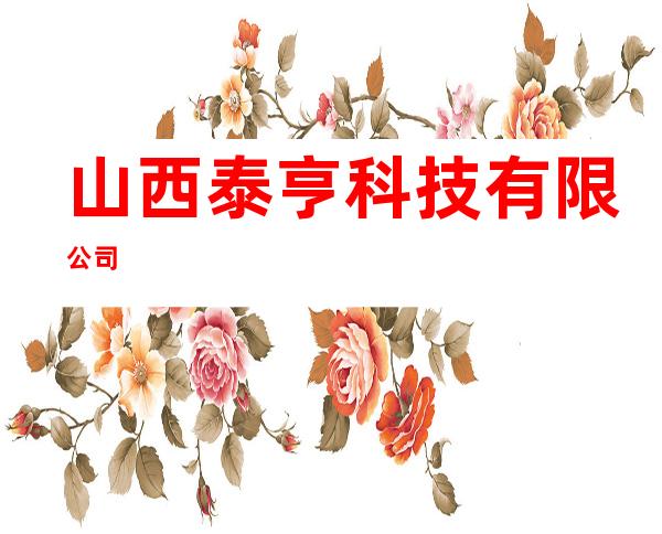 山西泰亨科技有限公司