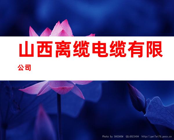 山西离缆电缆有限公司