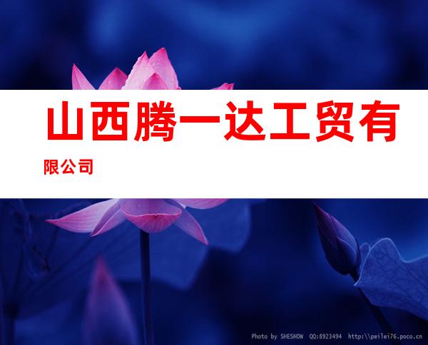 山西腾一达工贸有限公司