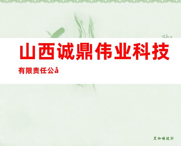 山西诚鼎伟业科技有限责任公司