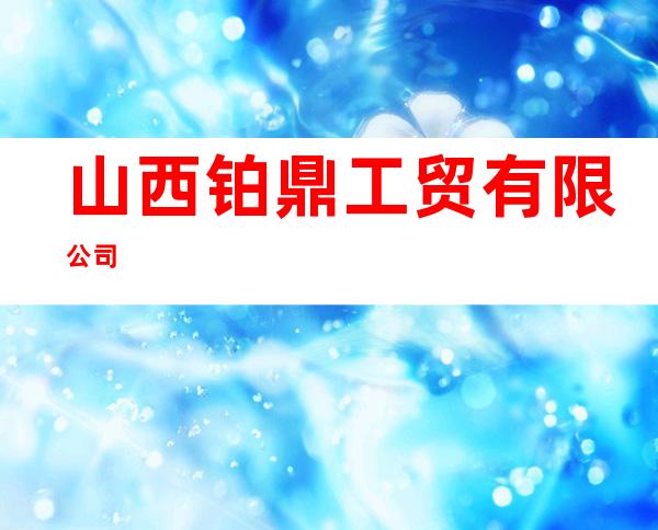 山西铂鼎工贸有限公司