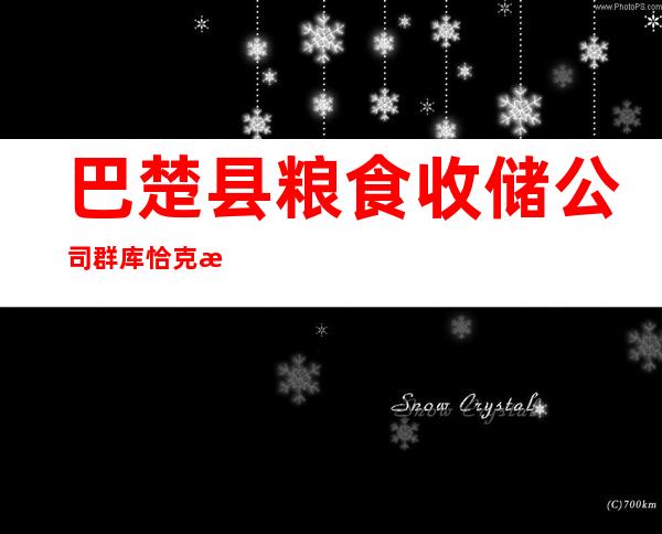 巴楚县粮食收储公司群库恰克收储站