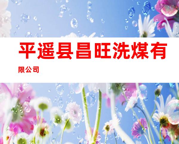 平遥县昌旺洗煤有限公司