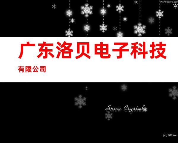 广东洛贝电子科技有限公司