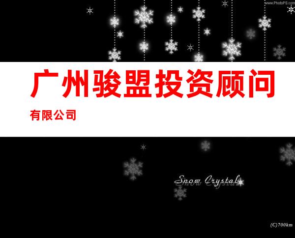 广州骏盟投资顾问有限公司