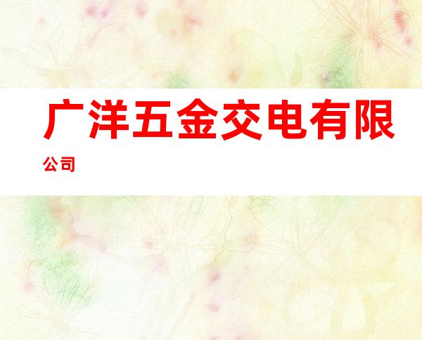 广洋五金交电有限公司