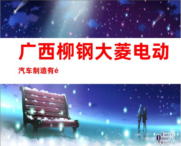 广西柳钢大菱电动汽车制造有限公司