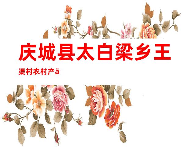 庆城县太白梁乡王渠村农村产业发展资金专业合作社