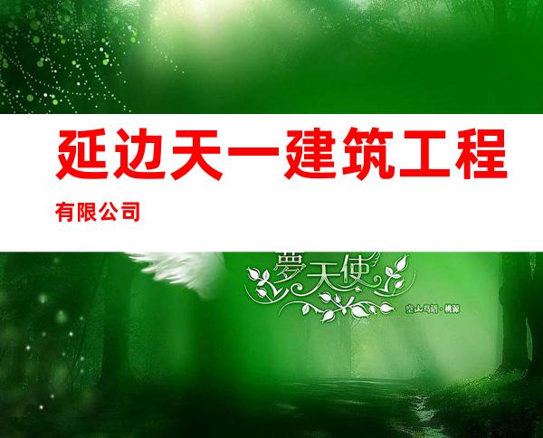 延边天一建筑工程有限公司