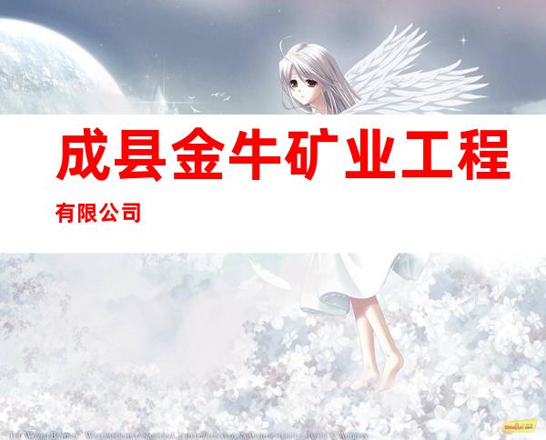 成县金牛矿业工程有限公司