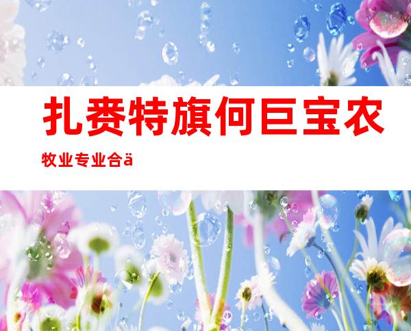扎赉特旗何巨宝农牧业专业合作社