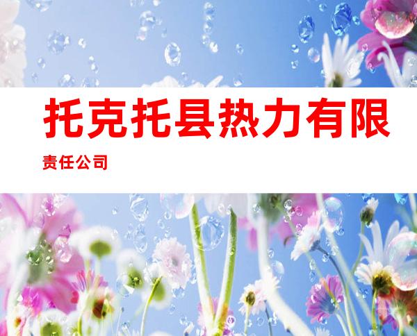 托克托县热力有限责任公司