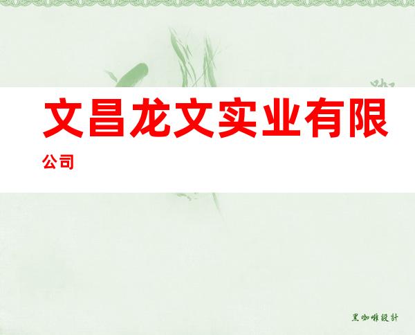 文昌龙文实业有限公司